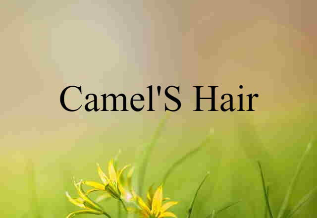 Camel's Hair (noun) Definition, Meaning & Examples