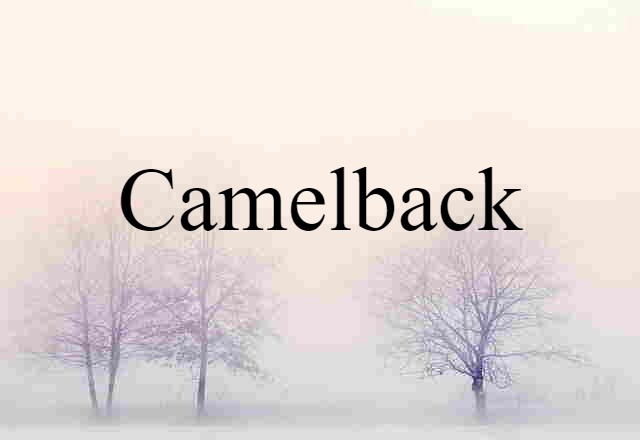 Camelback (noun) Definition, Meaning & Examples