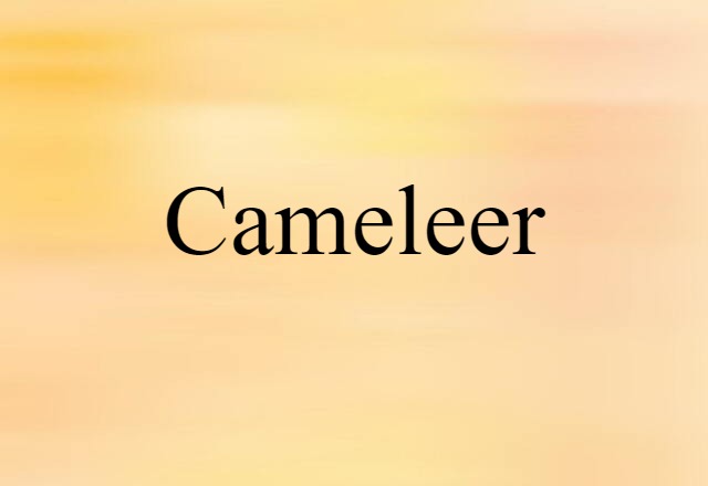 Cameleer (noun) Definition, Meaning & Examples