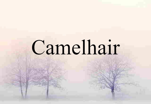 Camelhair (noun) Definition, Meaning & Examples