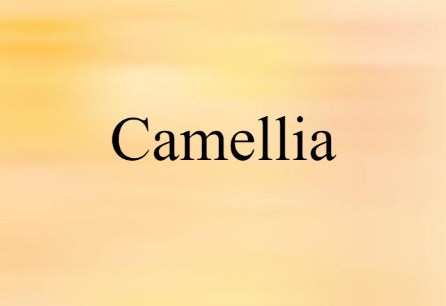 camellia