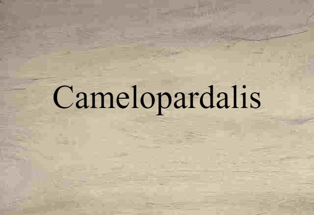 Camelopardalis