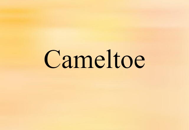 cameltoe