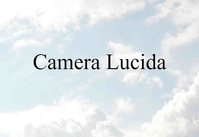 Camera Lucida (noun) Definition, Meaning & Examples