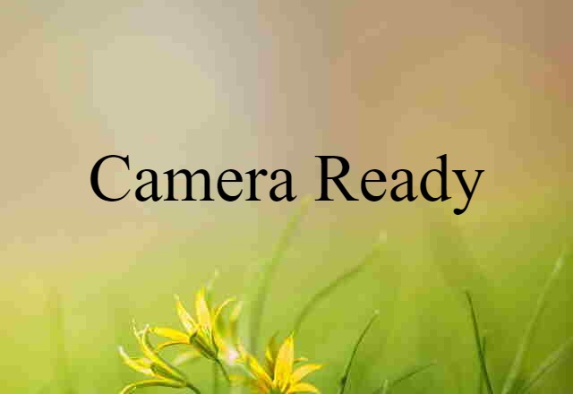 Camera-ready (noun) Definition, Meaning & Examples