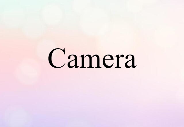 Camera (noun) Definition, Meaning & Examples