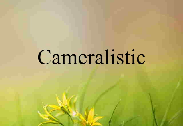 Cameralistic (noun) Definition, Meaning & Examples