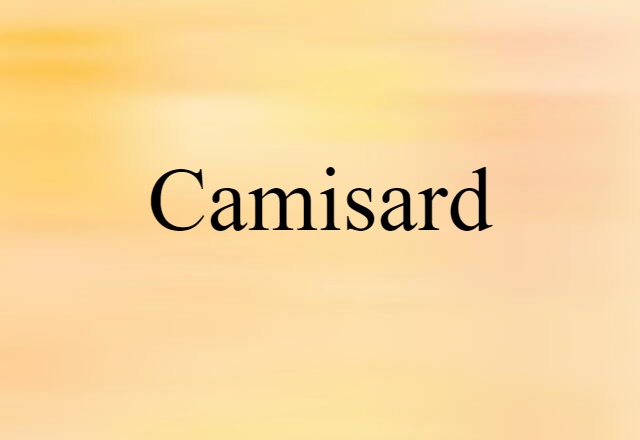 Camisard (noun) Definition, Meaning & Examples