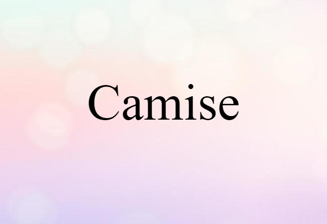 Camise (noun) Definition, Meaning & Examples