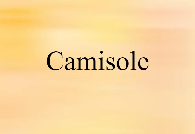 Camisole (noun) Definition, Meaning & Examples