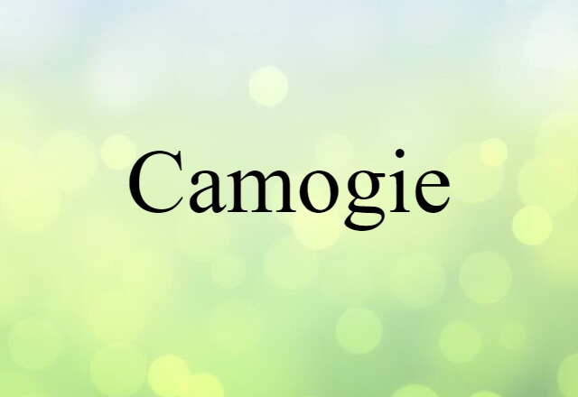 camogie