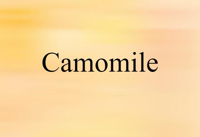 Camomile (noun) Definition, Meaning & Examples