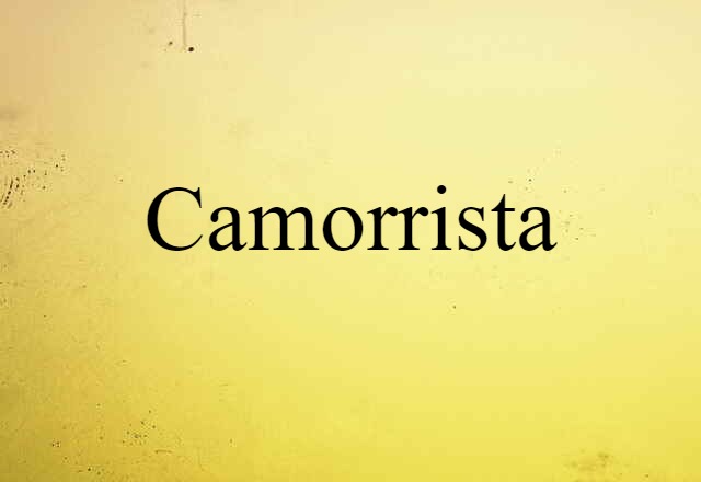 Camorrista (noun) Definition, Meaning & Examples