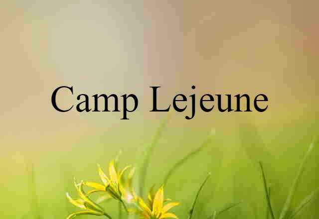 Camp Lejeune (noun) Definition, Meaning & Examples