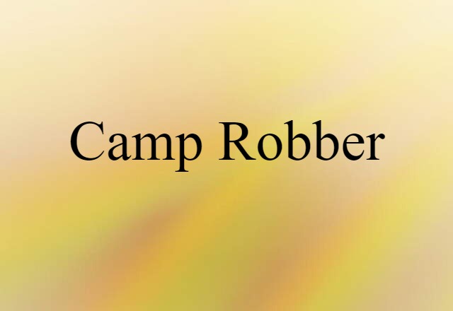 camp robber