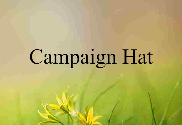 campaign hat