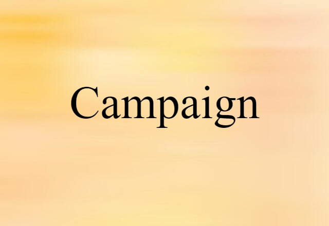 Campaign (noun) Definition, Meaning & Examples