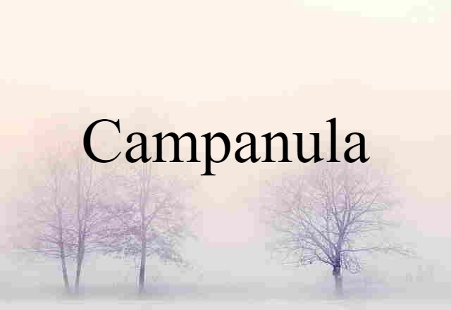 Campanula (noun) Definition, Meaning & Examples