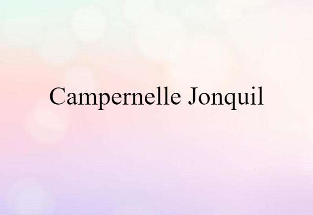 campernelle jonquil