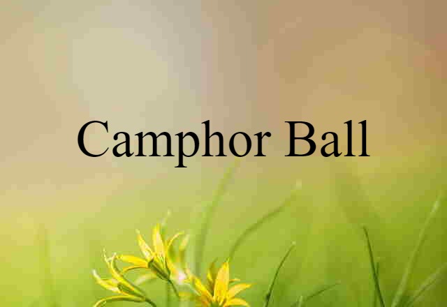 Camphor Ball (noun) Definition, Meaning & Examples