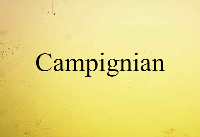 Campignian (noun) Definition, Meaning & Examples