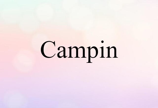 Campin (noun) Definition, Meaning & Examples