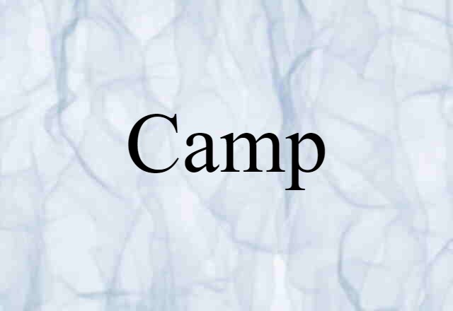 Camp (noun) Definition, Meaning & Examples