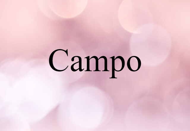 Campo (noun) Definition, Meaning & Examples