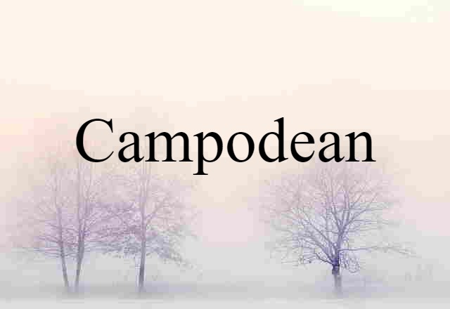 Campodean (noun) Definition, Meaning & Examples