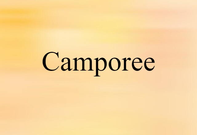 Camporee (noun) Definition, Meaning & Examples