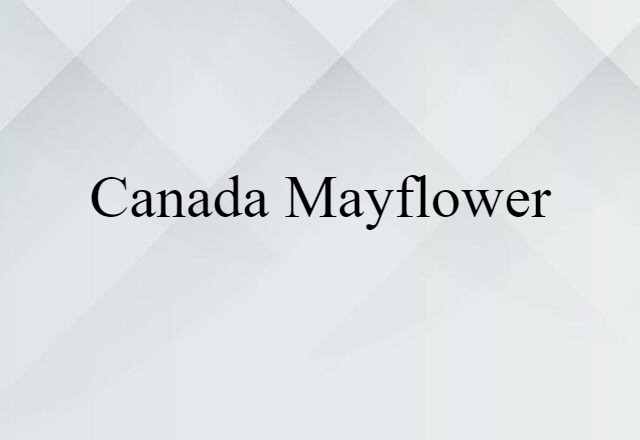 Canada Mayflower (noun) Definition, Meaning & Examples