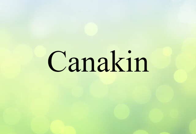 Canakin (noun) Definition, Meaning & Examples