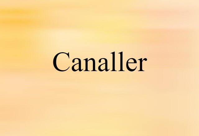 Canaller (noun) Definition, Meaning & Examples