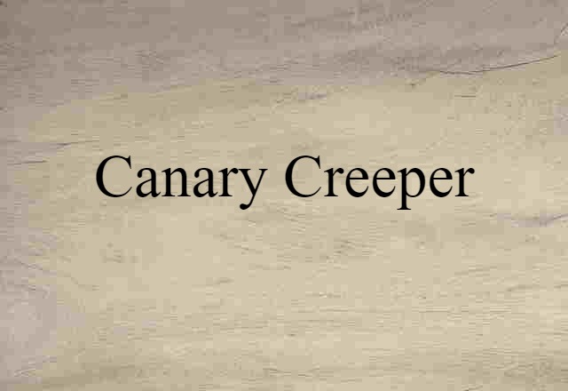 canary creeper