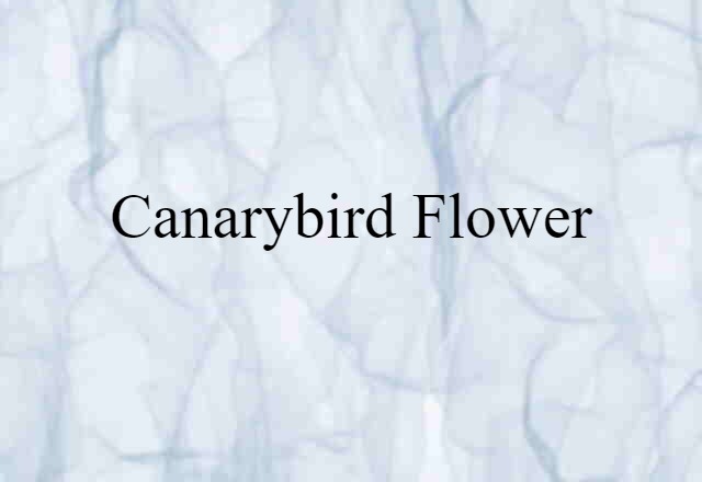 Canarybird Flower (noun) Definition, Meaning & Examples