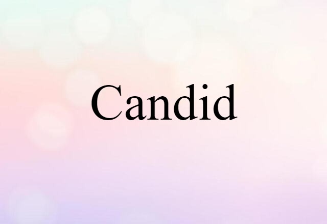 Candid (noun) Definition, Meaning & Examples