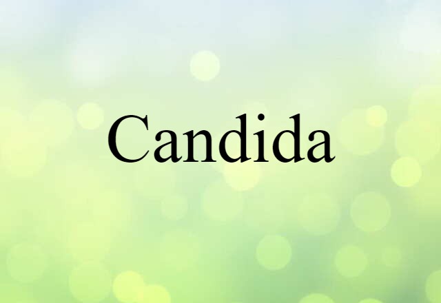 Candida (noun) Definition, Meaning & Examples