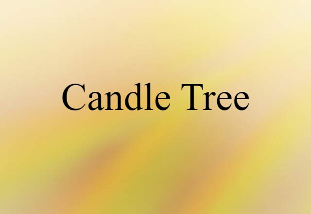 Candle-tree (noun) Definition, Meaning & Examples