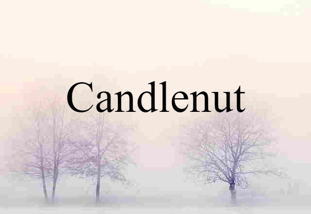 Candlenut (noun) Definition, Meaning & Examples