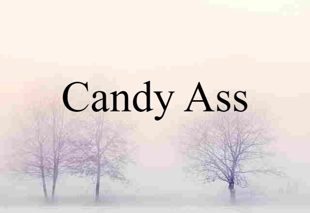 Candy Ass (noun) Definition, Meaning & Examples