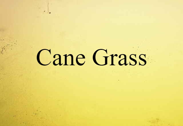 cane grass