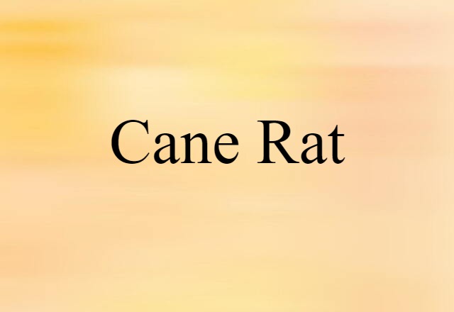 cane rat