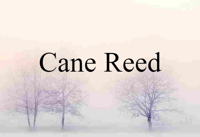 cane reed