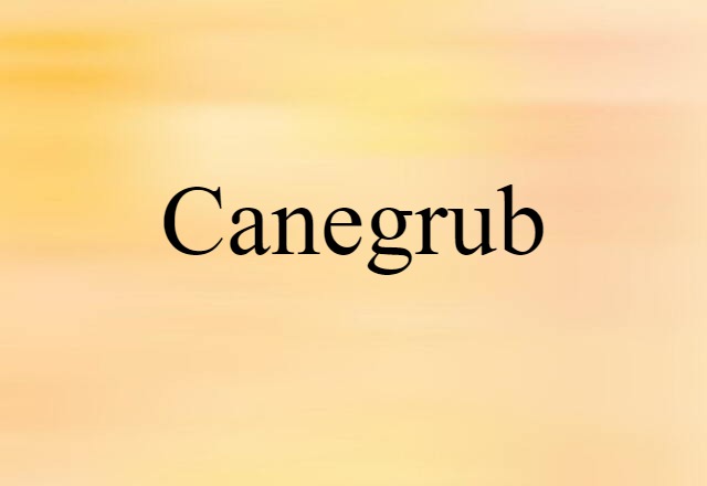 canegrub