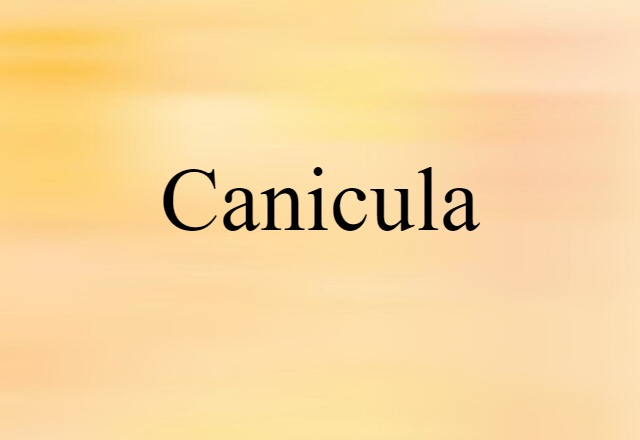 Canicula