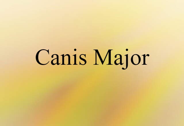 Canis Major (noun) Definition, Meaning & Examples