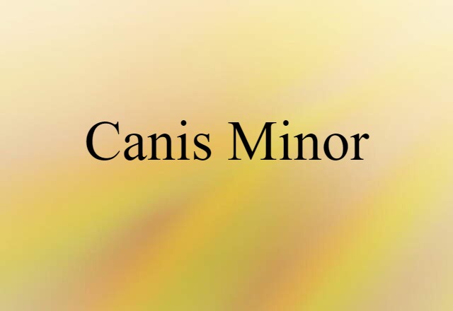 Canis Minor