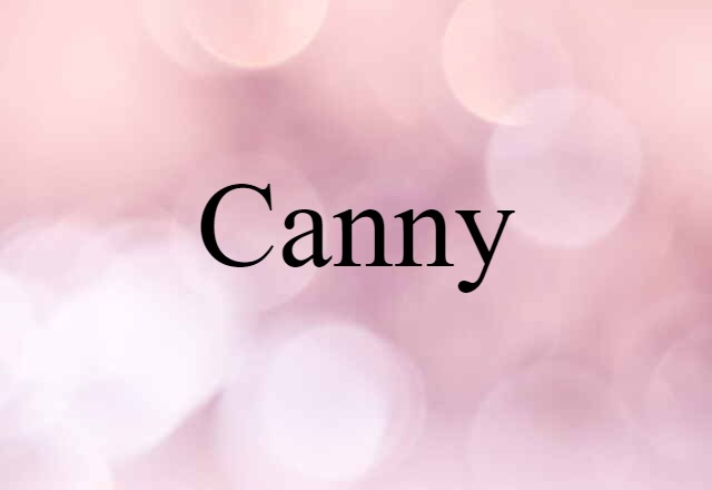 Canny (noun) Definition, Meaning & Examples