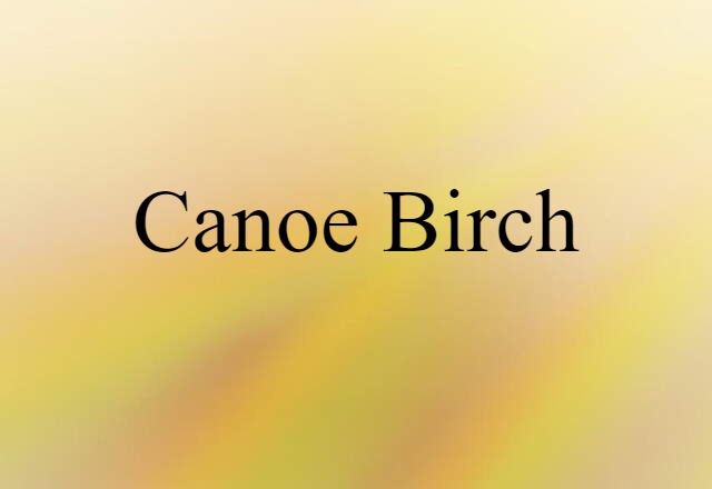 Canoe Birch (noun) Definition, Meaning & Examples