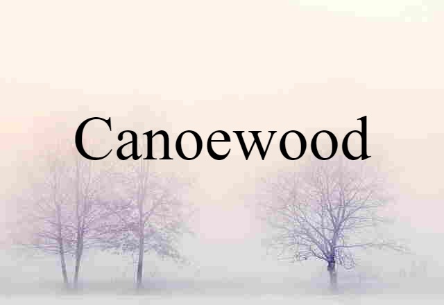 Canoewood (noun) Definition, Meaning & Examples